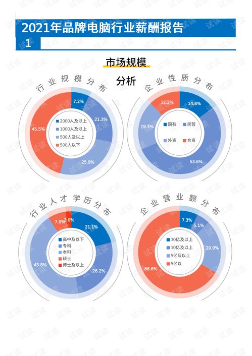 2021年薪酬報(bào)告 高科技互聯(lián)網(wǎng)品牌電腦行業(yè)薪酬調(diào)查與計(jì)算機(jī)技術(shù)咨詢發(fā)展分析